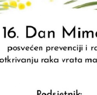 1mimoze