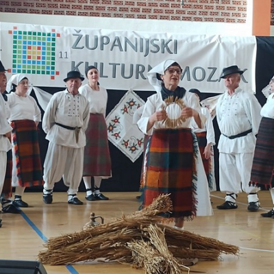 0ŽupanijskiMozaik
