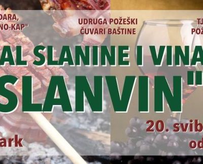 Slanvin 1