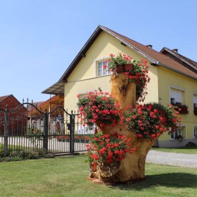 1okućnica