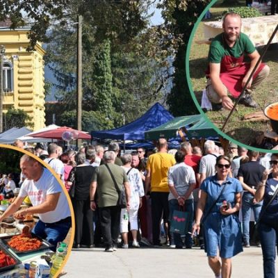 naslovLIPIK