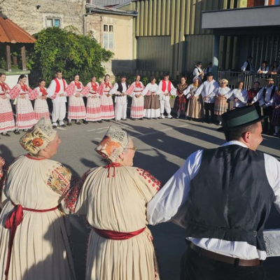 0Brestovac-smotra