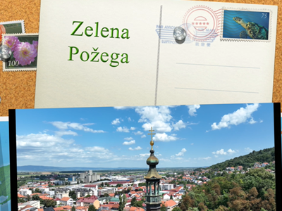 zelenaP