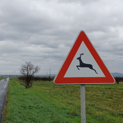 1životinje