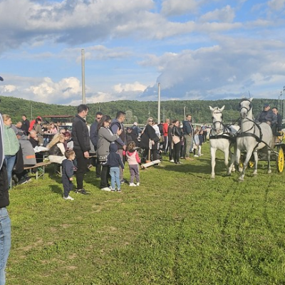 1KonjičkiKlub