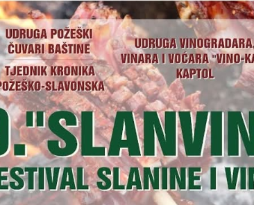 1Slanvin