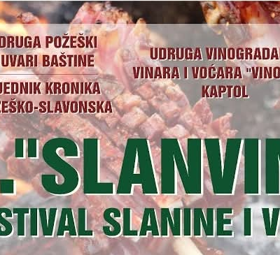 1Slanvin