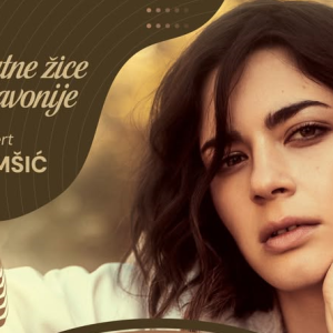 1Dimšić