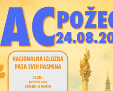 1psiiii