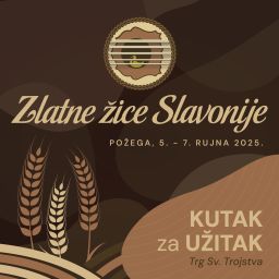 Zlatne žice slavonije na Požeškom vodiču plakat