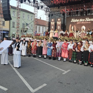 1žice-nasl