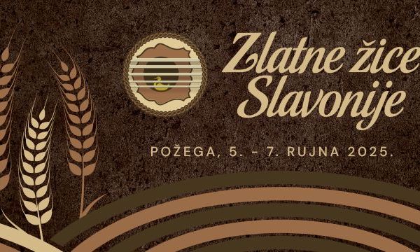 Žice