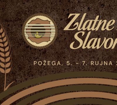 Žice