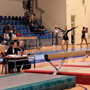 gimnastika