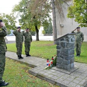 vojska