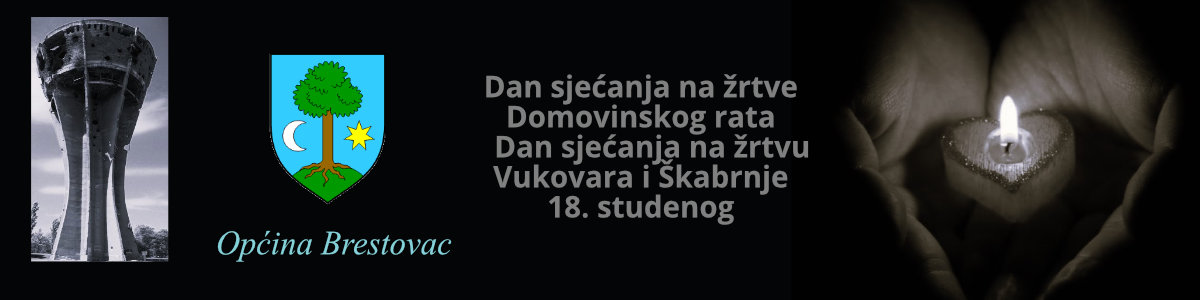 Brestovac_dan sjećanja_25