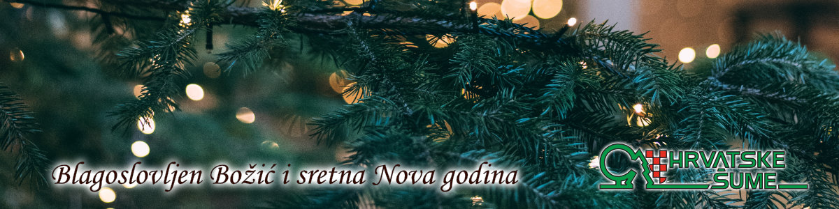 hrv.sume_čestitka_advent_2_25
