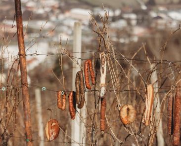 489415008-1227780219349499-6859669457063225612-n-980x654