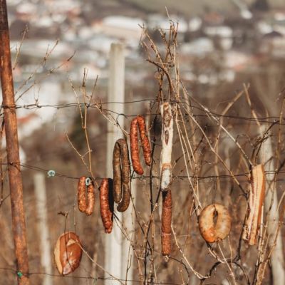 489415008-1227780219349499-6859669457063225612-n-980x654