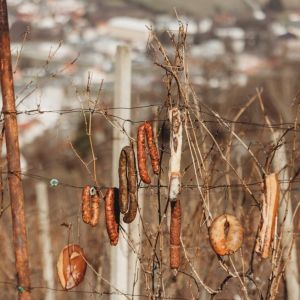 489415008-1227780219349499-6859669457063225612-n-980x654