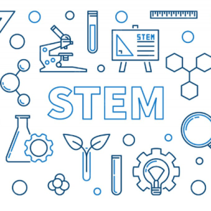 stem-nasl