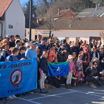 1Gojzerica