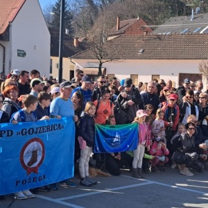 1Gojzerica