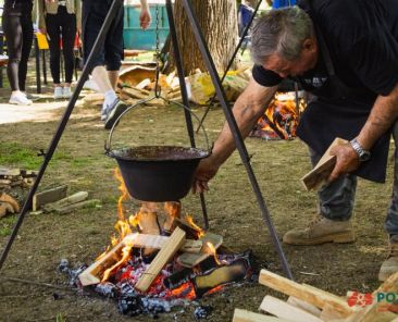 494196527-1250069233787264-475224387957604184-n