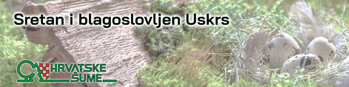 Hrv.šume uskrs_26
